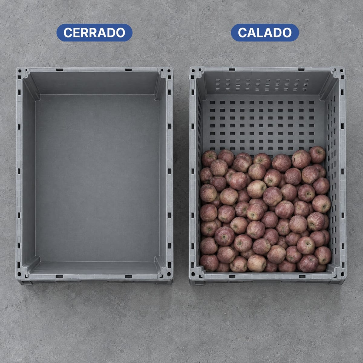Contenedor de plástico de paredes cerradas y contenedor perforado uno al lado del otro, vistos desde arriba