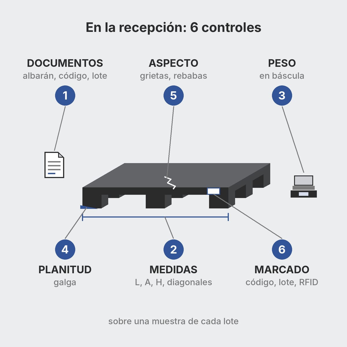 Seis controles de recepción en un palet de plástico: documentos, medidas, peso, planitud, aspecto y marcado
