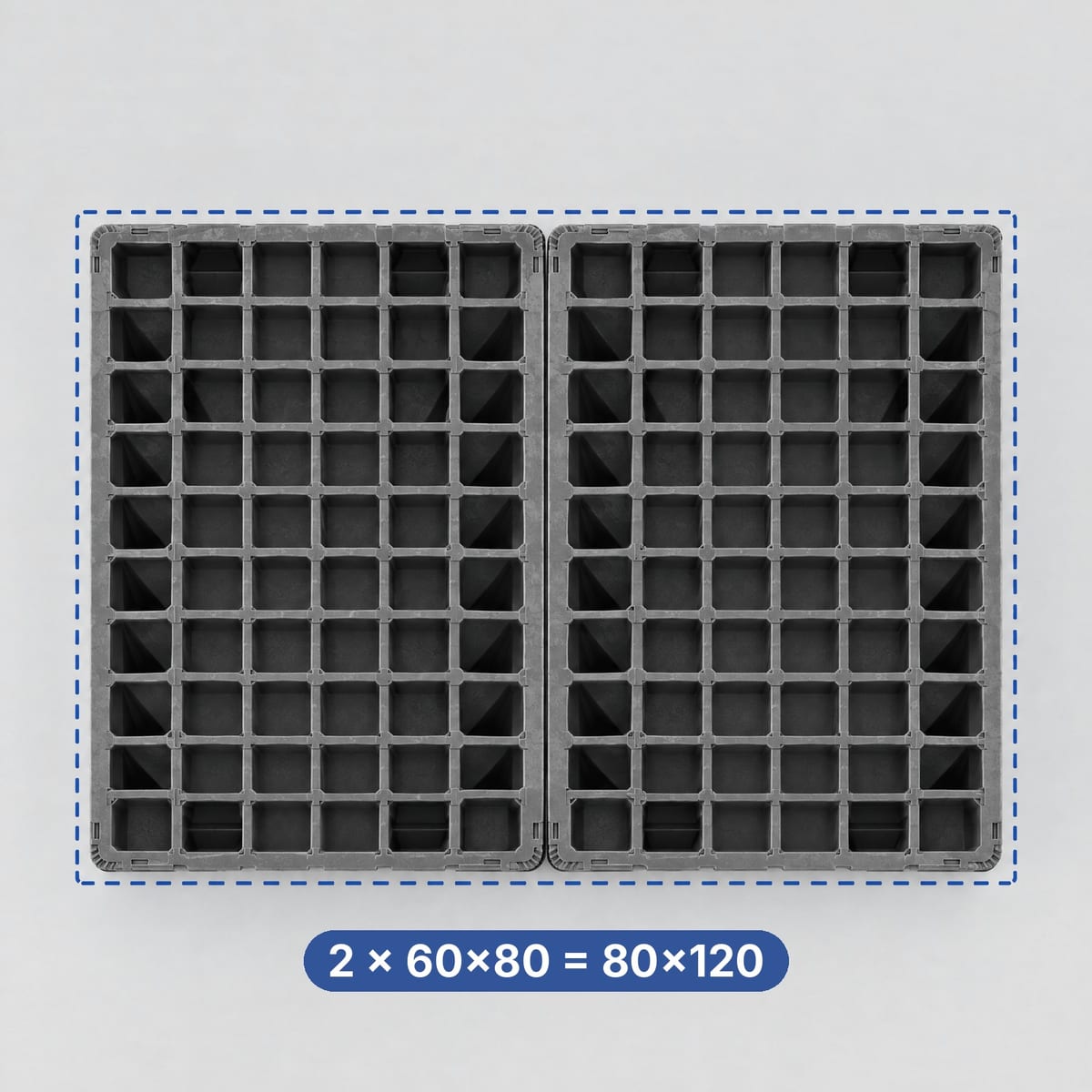 Two 800×600 plastic half pallets side by side forming the footprint of a 1200×800 euro pallet