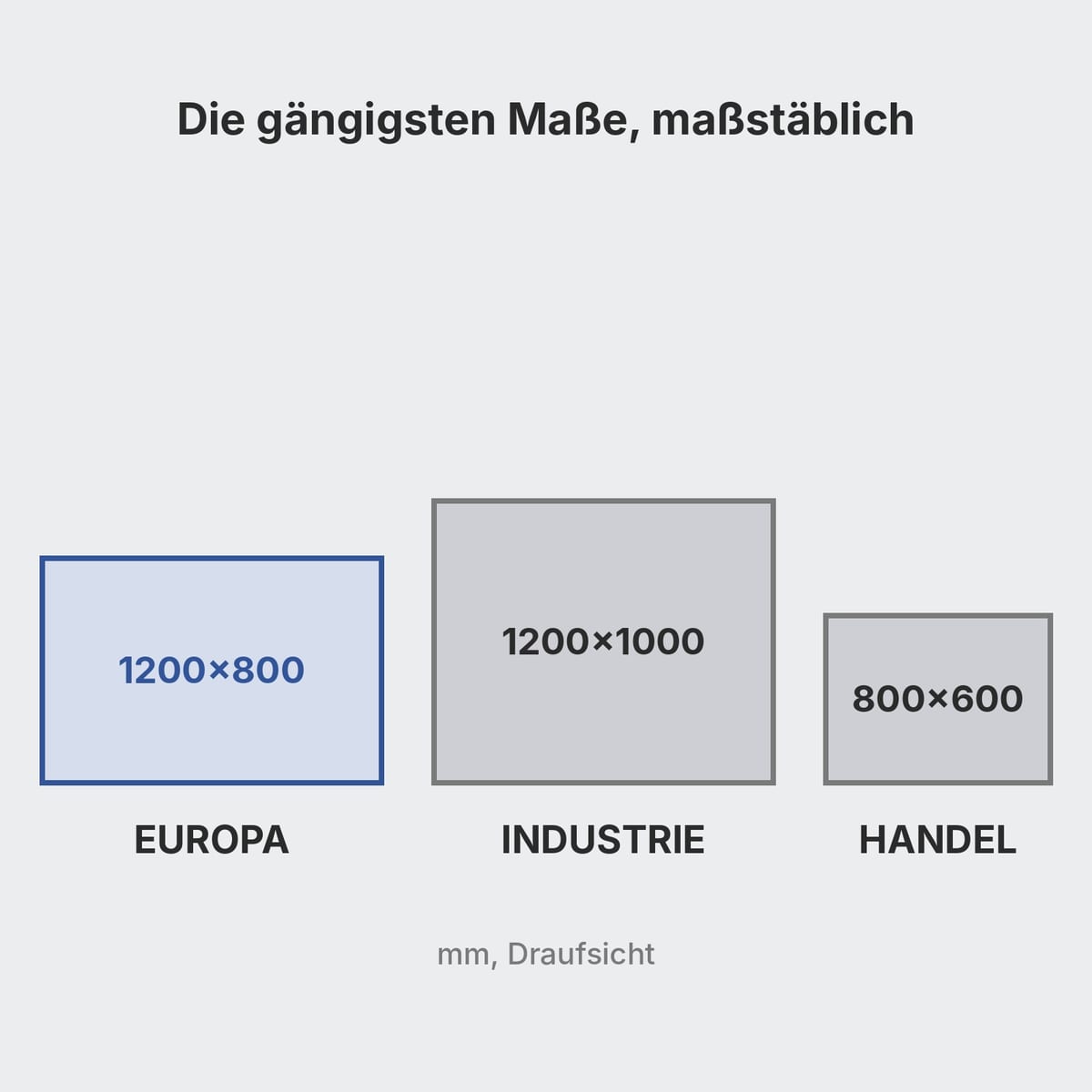 Kunststoffpaletten 1200×800, 1200×1000 und 800×600 von oben, mit Maßen in Millimetern